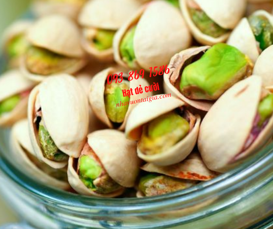 Mua Hạt dẻ cười bao nhiêu 1kg tại TPHCM NhaVuonTaiGia