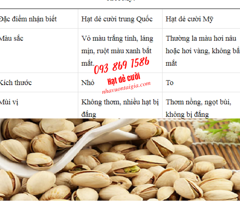 Mua Hạt dẻ cười bao nhiêu 1kg tại TPHCM NhaVuonTaiGia