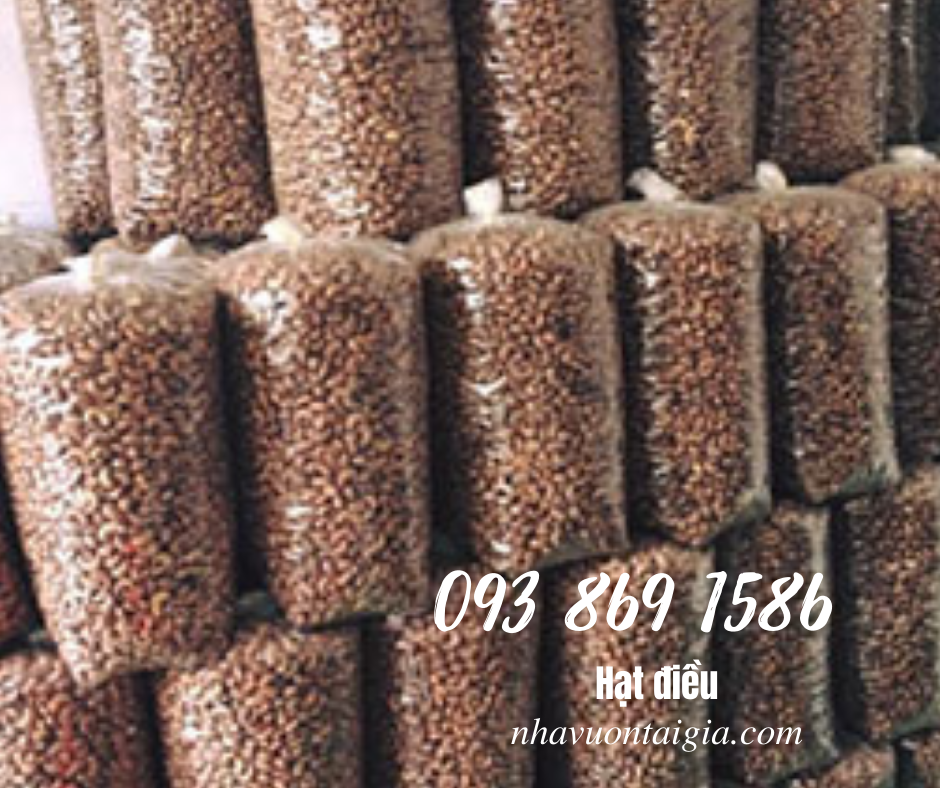 Hạt điều rang muối Bình Phước A cồ, loại 1, A, A+,B,C,W210, 240, 320, 450