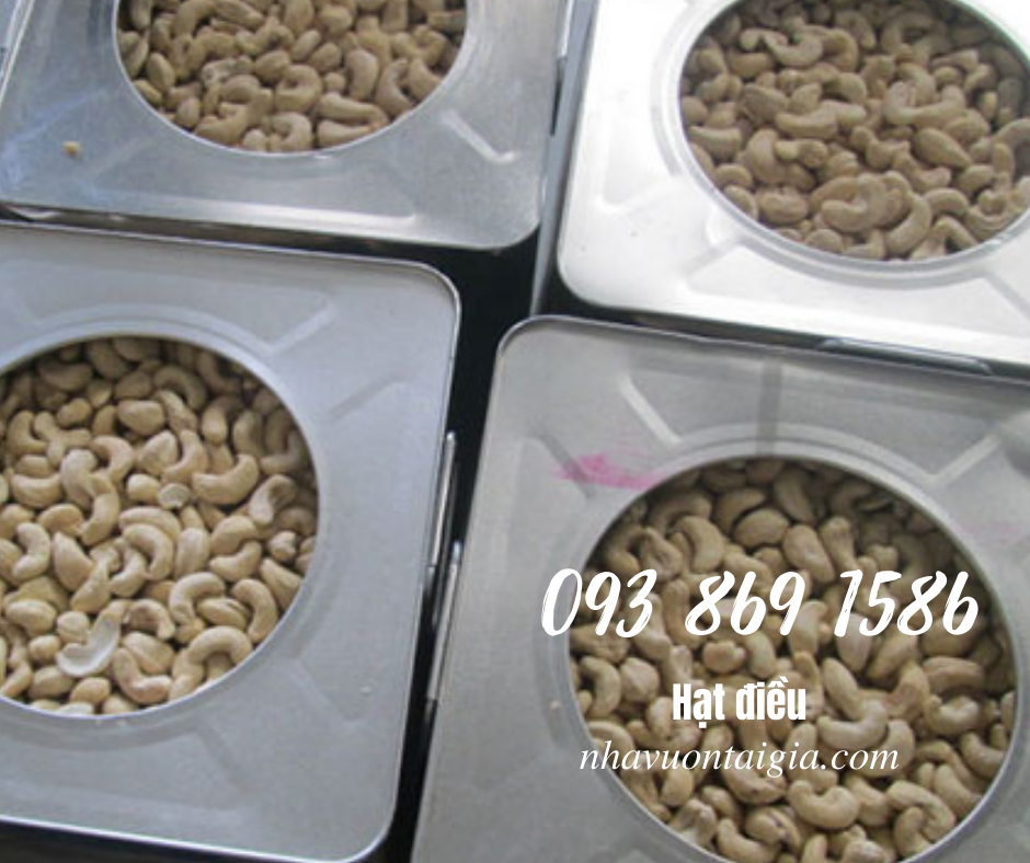 Hạt điều rang muối Bình Phước A cồ, loại 1, A, A+,B,C,W210, 240, 320, 450