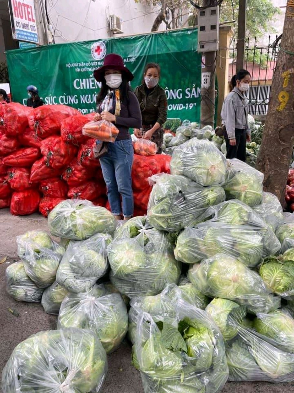 Bắp cải Nước ép bắp cải và những tác dụng bất ngờ có thể bạn chưa biết 
