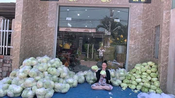 Bắp cải Nước ép bắp cải và những tác dụng bất ngờ có thể bạn chưa biết 
