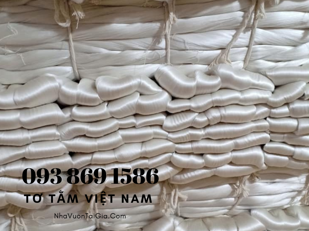 to-tam-xuat-khau-to-tam-viet-nam-