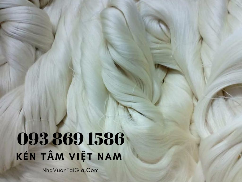 to-tam-xuat-khau-to-tam-viet-nam-