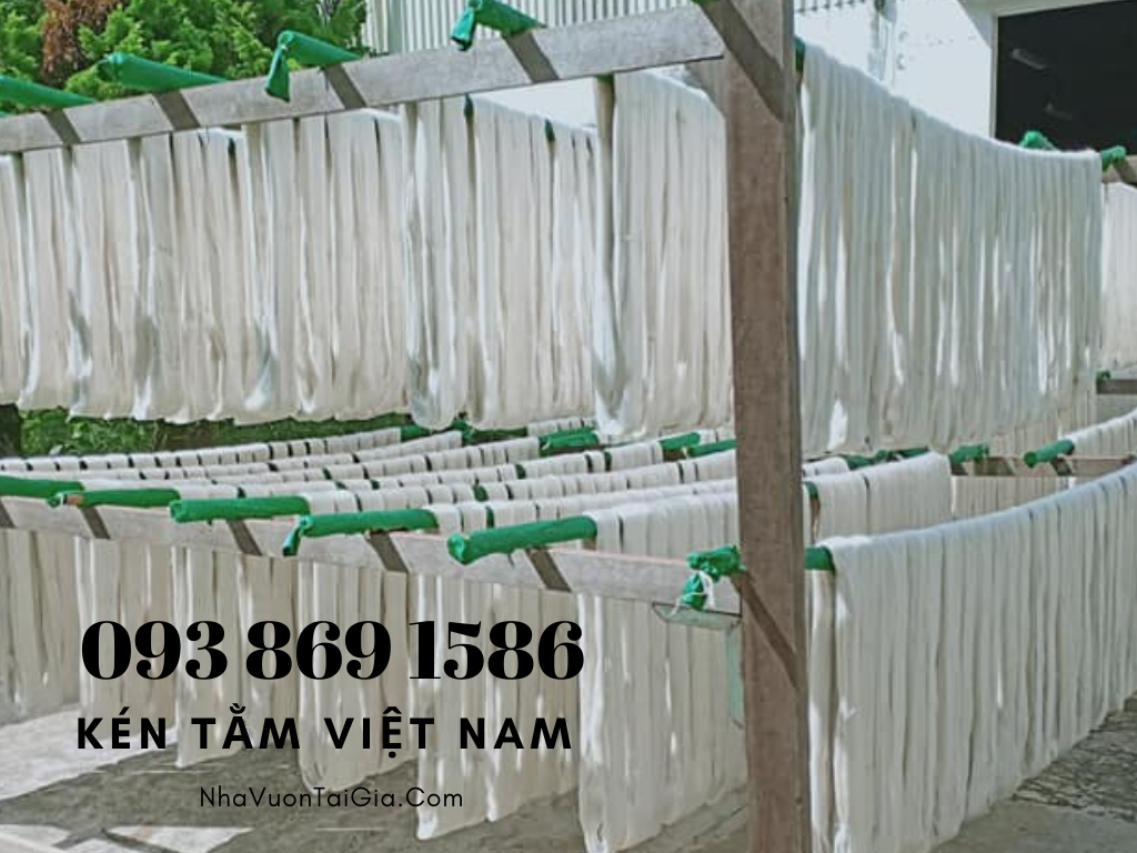 to-tam-xuat-khau-to-tam-viet-nam-
