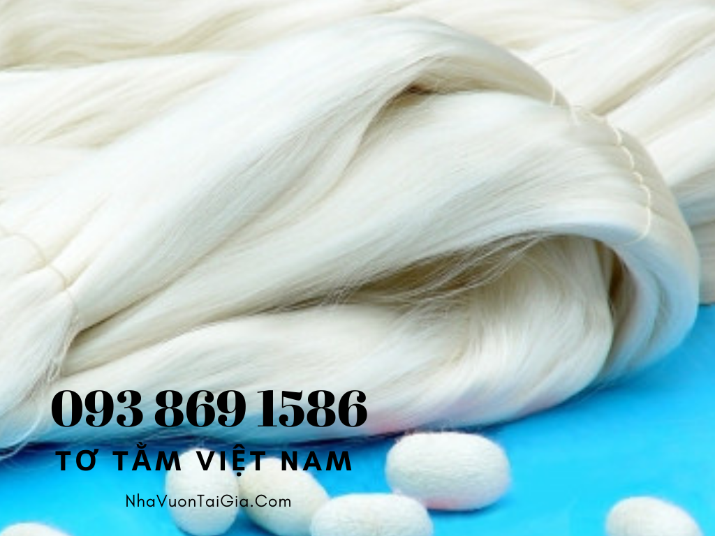 Sản phẩm của doanh nghiệp: Tơ các loại, lụa tơ tằm, quần áo và các thành phẩm từ lụa, tranh thêu tay, dịch vụ tham quan cơ sở sản xuất. Sản phẩm được xuất khẩu, cung cấp cho một số làng nghề trong nước và phục vụ khách du lịch.