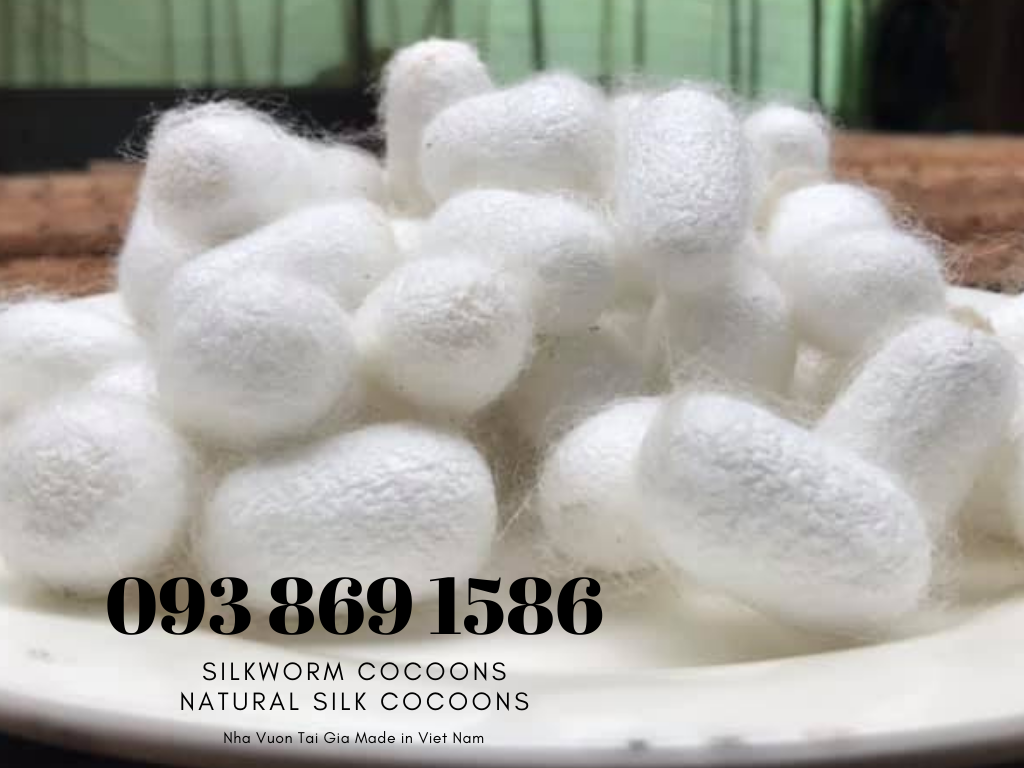 Silkworm Cocoons, Natural Silk Cocoons Nha Vuon Tai Gia Made in Viet Nam 