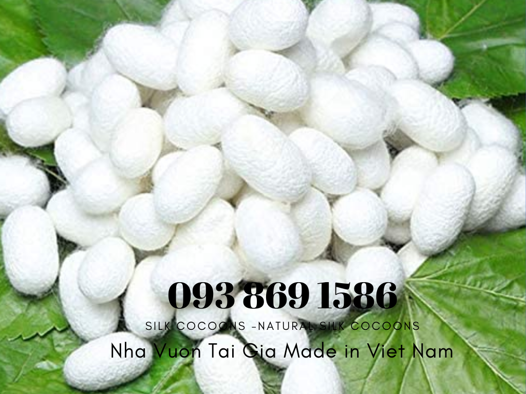 Tơ tằm xuất khẩu tơ tằm Việt Nam 