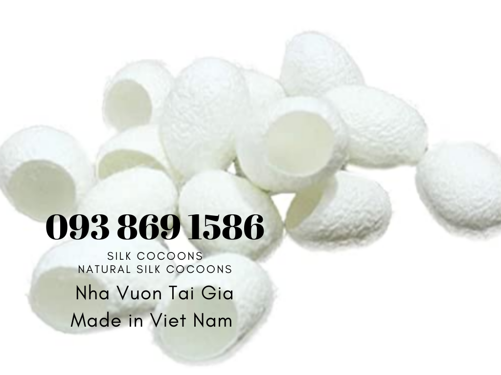 Kén tằm (Silk Cocoons) trắng Organic làm đẹp tại nhà, spa 