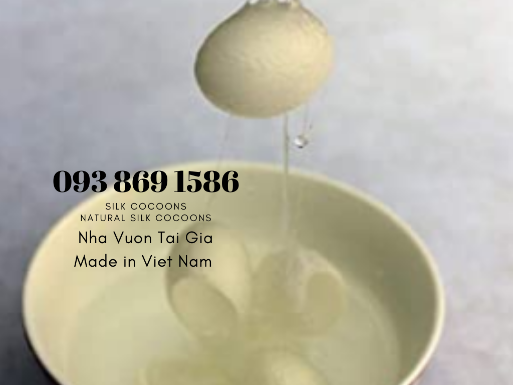 Kén tằm (Silk Cocoons) trắng Organic làm đẹp tại nhà, spa 
