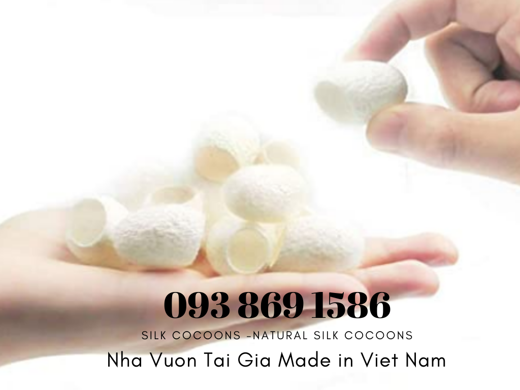 Kén tằm (Silk Cocoons) trắng Organic làm đẹp tại nhà, spa 