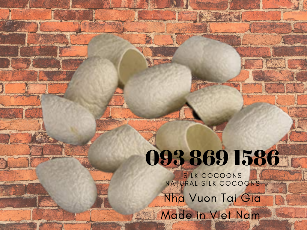 Kén tằm (Silk Cocoons) trắng Organic làm đẹp tại nhà, spa 