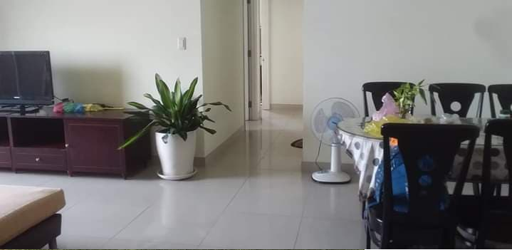 Thuê căn hộ Phú Mỹ Hưng, quận 7