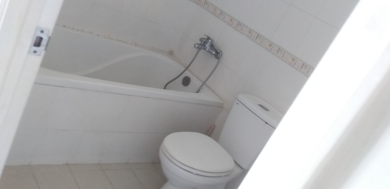 Thuê căn hộ Phú Mỹ Hưng, quận 7