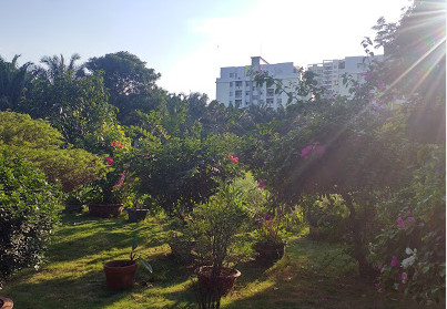 Thuê căn hộ Phú Mỹ Hưng, quận 7
