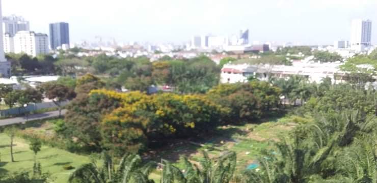 Cho thuê căn hộ 2 phòng ngủ quận 7 Phú Mỹ Hưng TPHCM