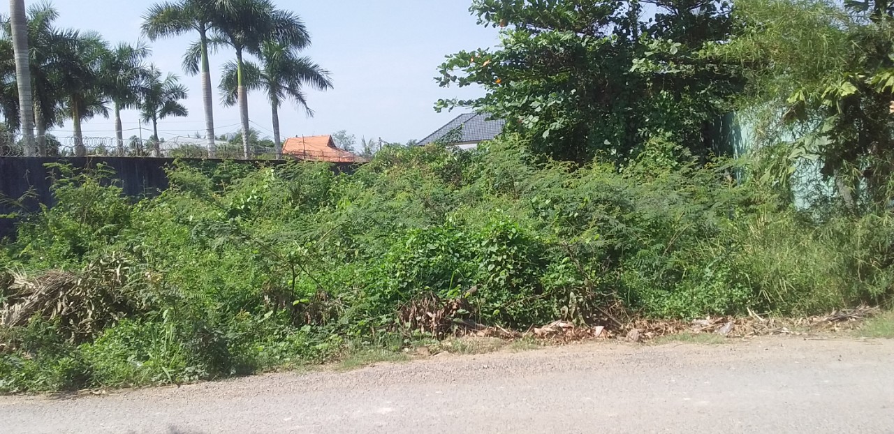 Cho thuê mặt bằng quận 9, thuê đất quận 9