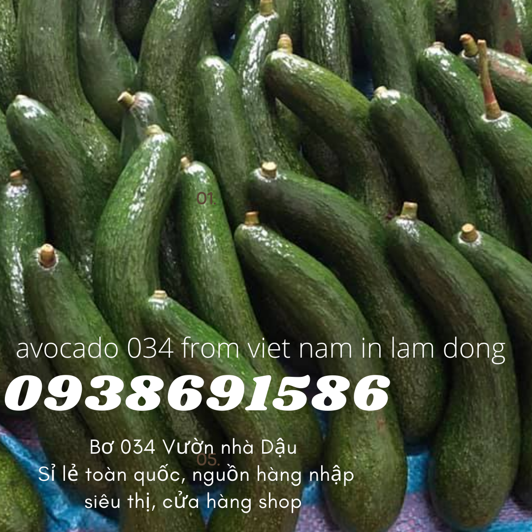  Cách ủ bơ 034 034 From Viet Nam in Lam Dong