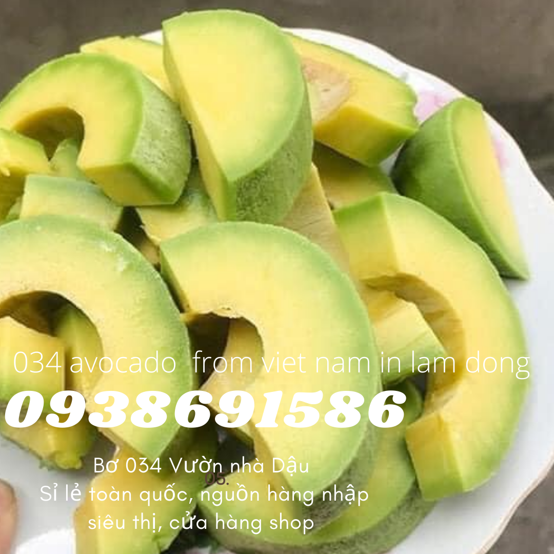 034 Avocado from Vietnam in Lam Dong for export