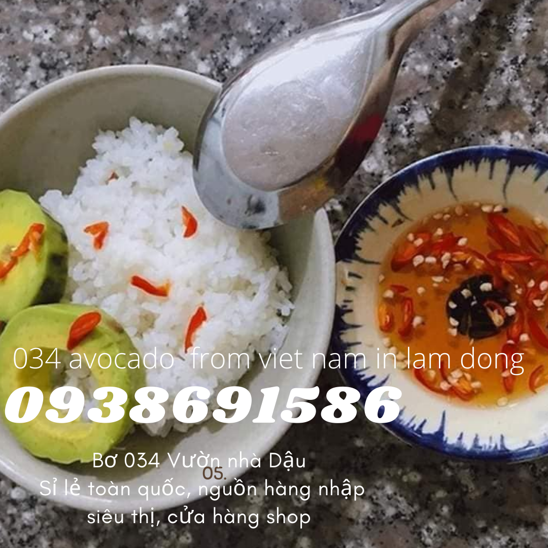 034 Avocado from Vietnam in Lam Dong for export