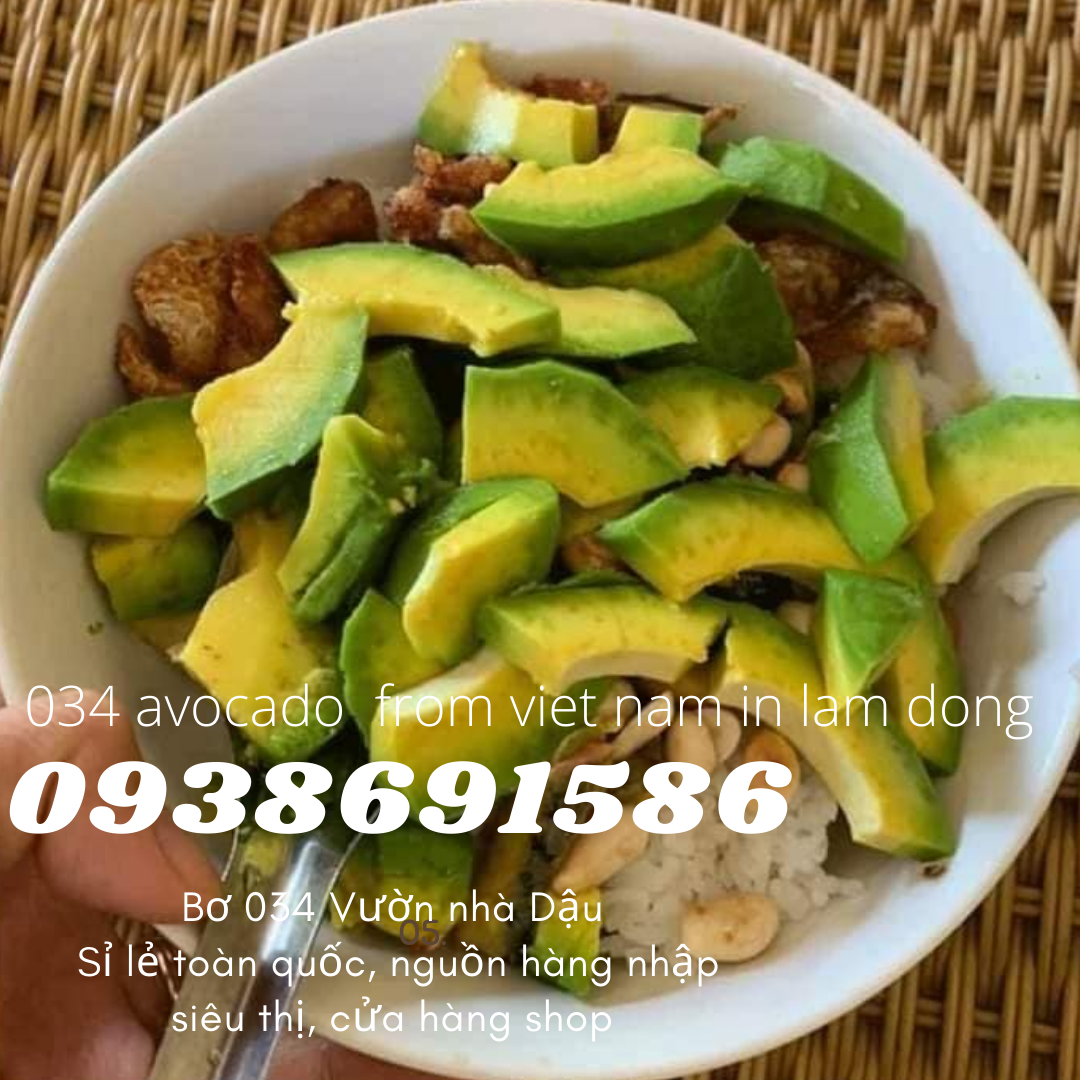 034 Avocado from Vietnam in Lam Dong for export