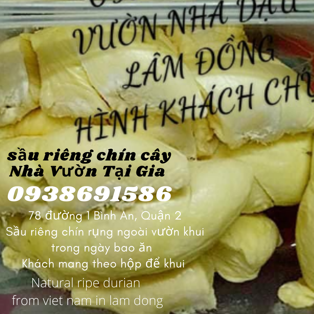 Sầu riêng óc khỉ (óc chó, Út Thủy)TPHCM rụng chín cây