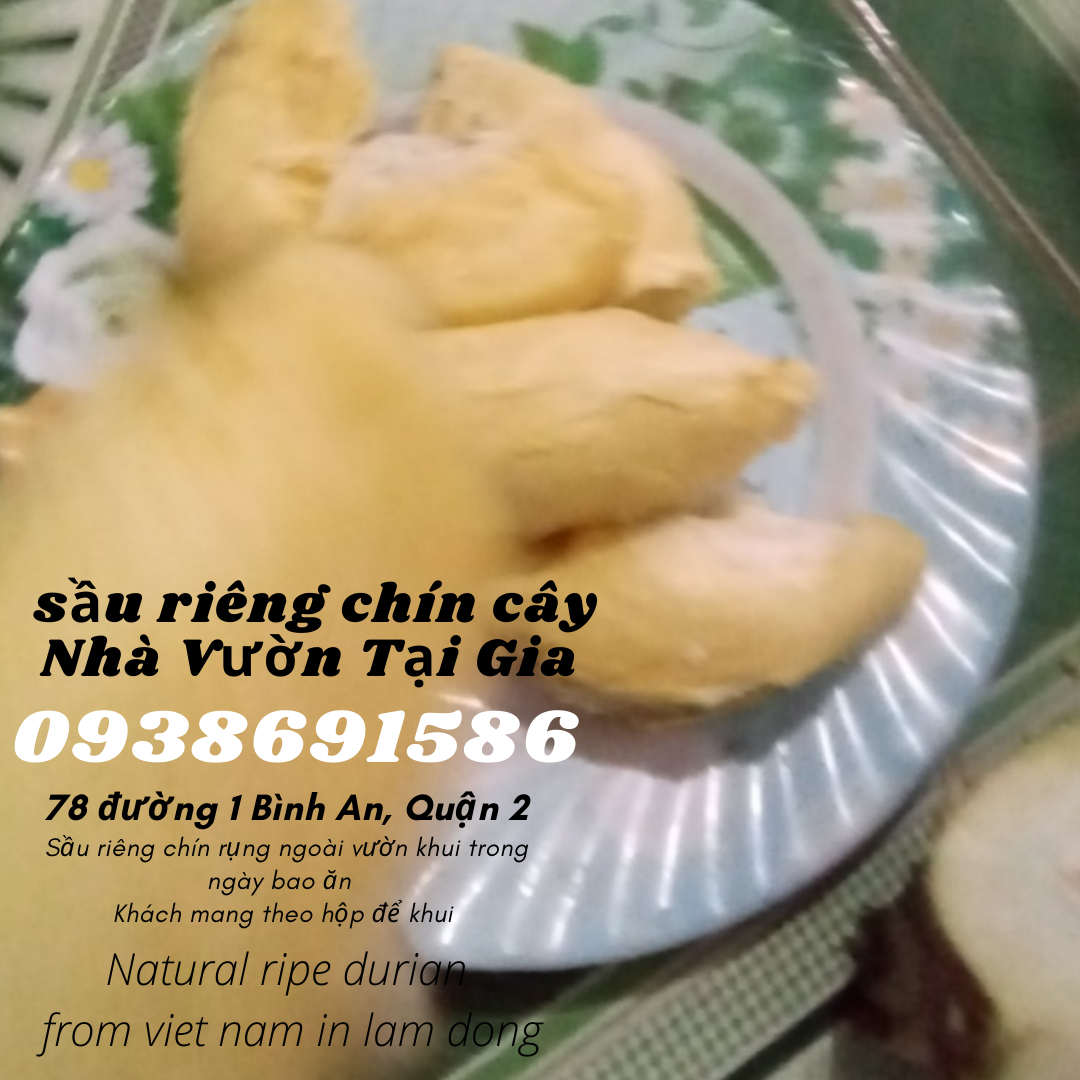 Sầu riêng óc khỉ (óc chó, Út Thủy)TPHCM rụng chín cây