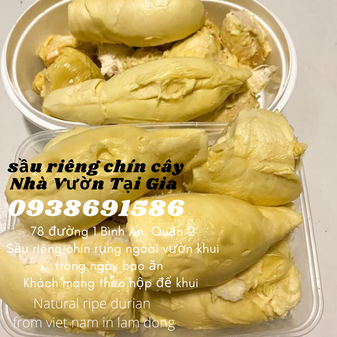Sầu riêng óc khỉ (óc chó, Út Thủy)TPHCM rụng chín cây