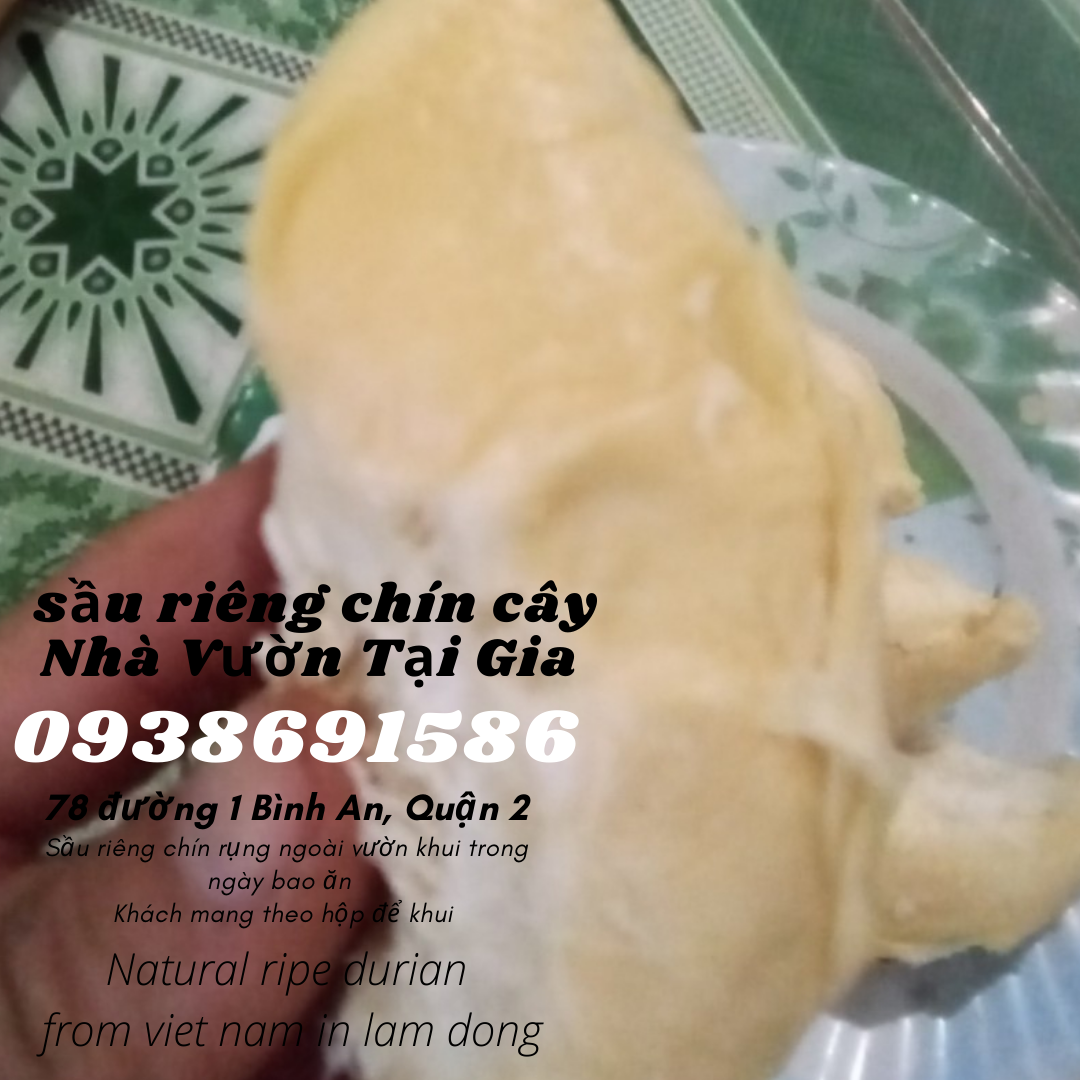 Sầu riêng óc khỉ (óc chó, Út Thủy)TPHCM rụng chín cây