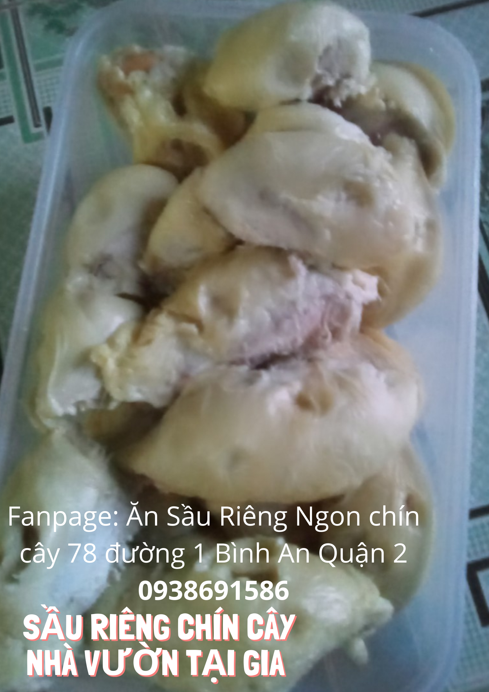 Sầu riêng óc khỉ (óc chó, Út Thủy)TPHCM rụng chín cây