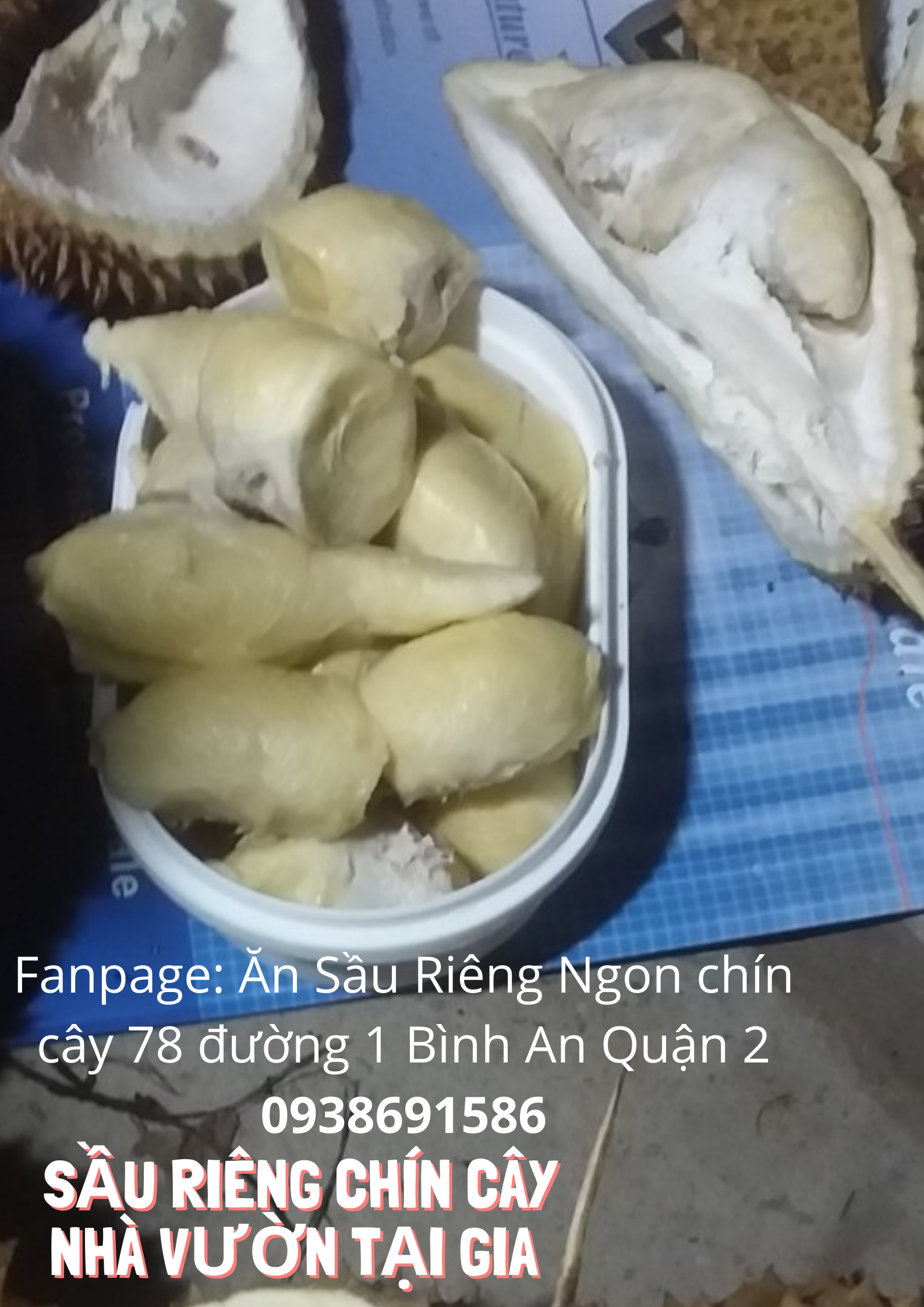 Sầu riêng óc khỉ (óc chó, Út Thủy)TPHCM rụng chín cây