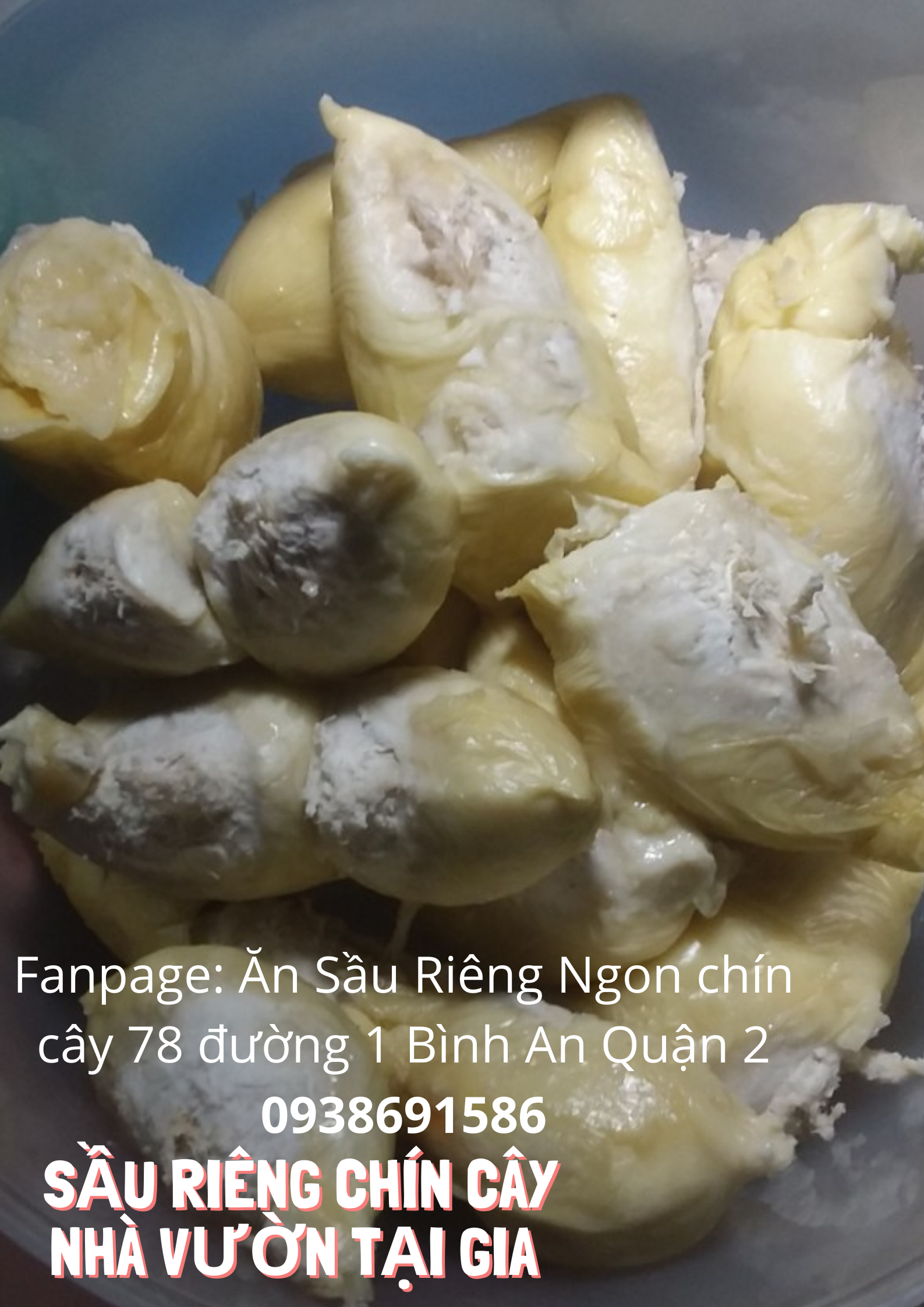 Sầu riêng óc khỉ (óc chó, Út Thủy)TPHCM rụng chín cây