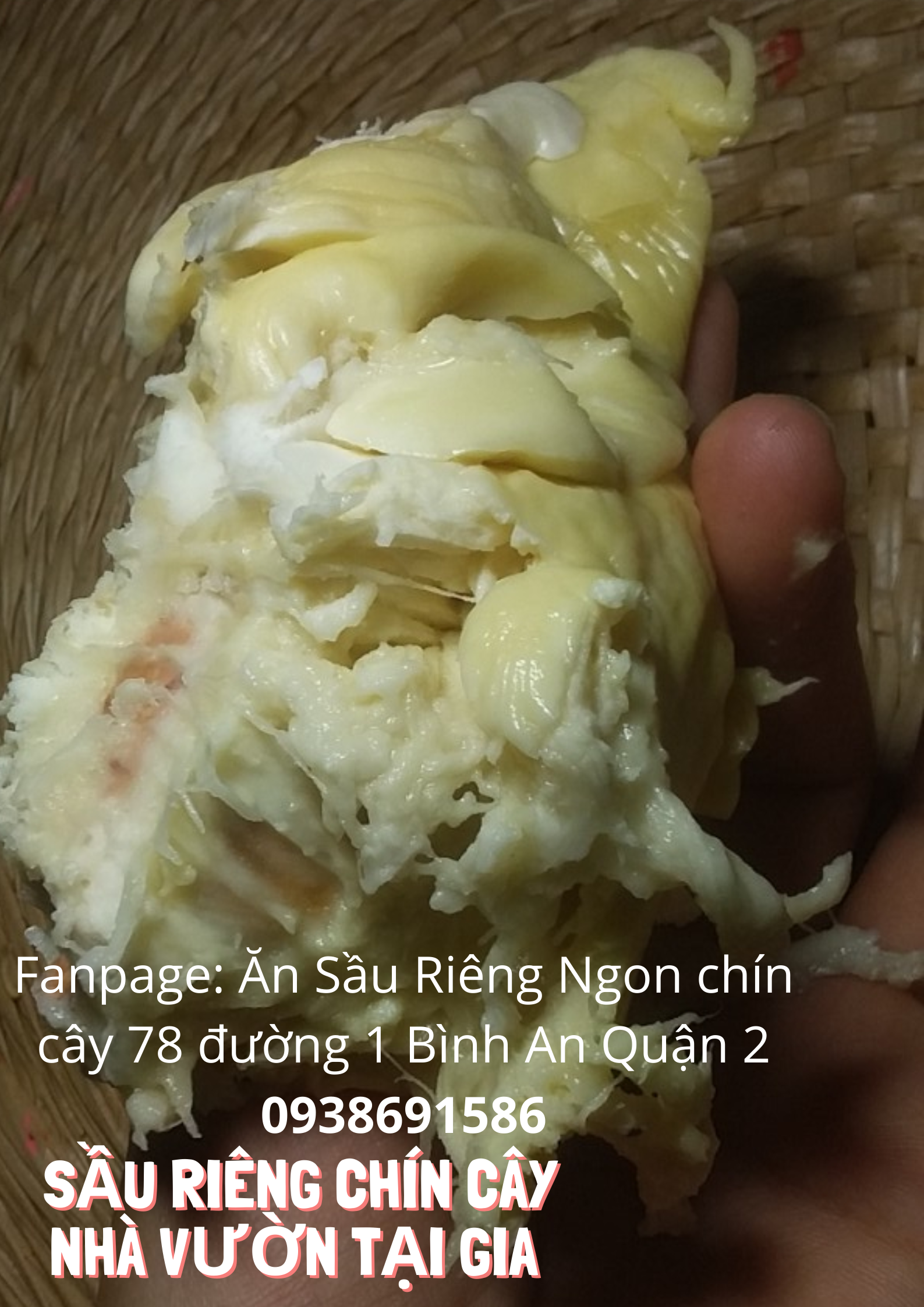 Sầu riêng óc khỉ (óc chó, Út Thủy)TPHCM rụng chín cây
