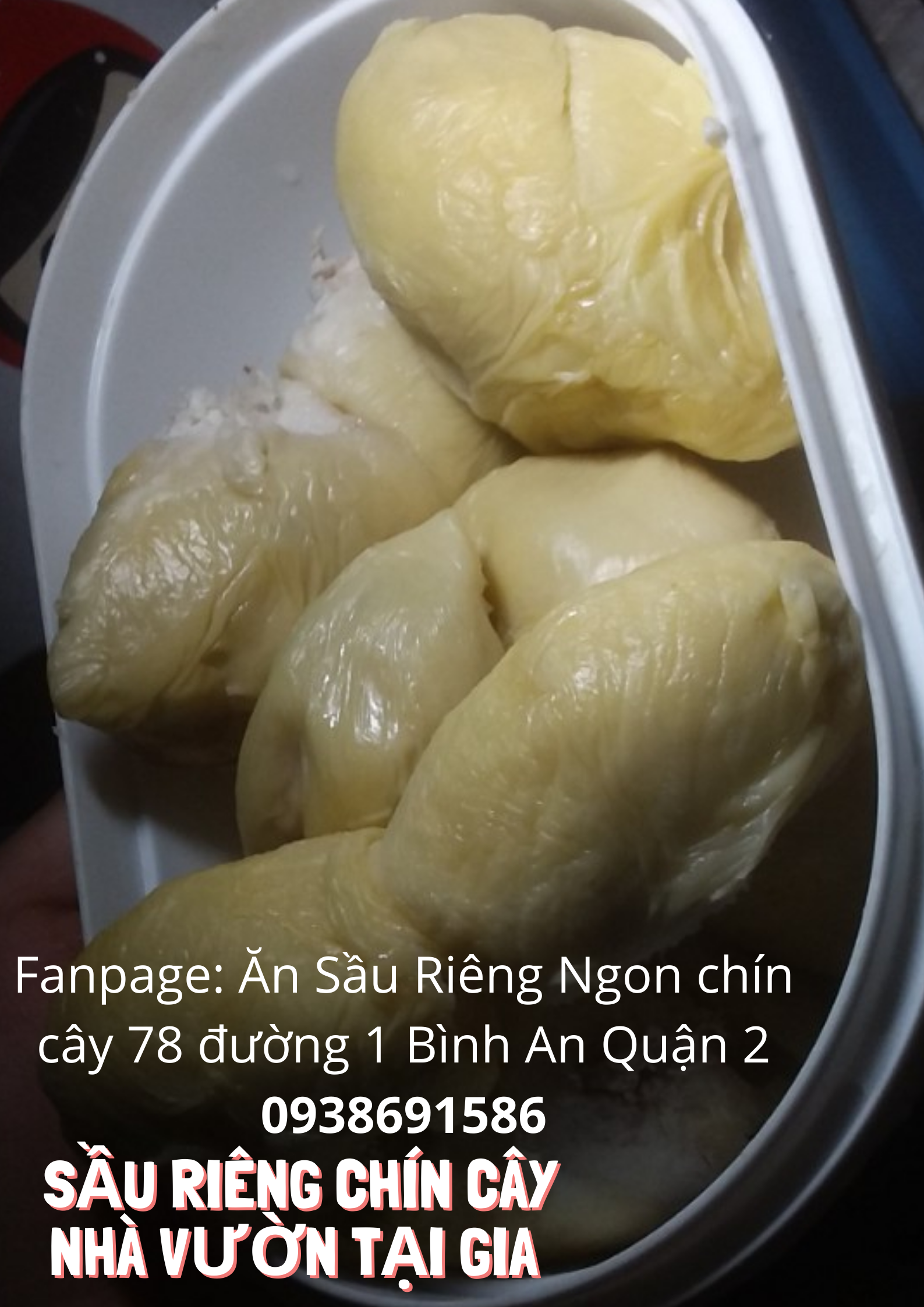 Sầu riêng óc khỉ (óc chó, Út Thủy)TPHCM rụng chín cây