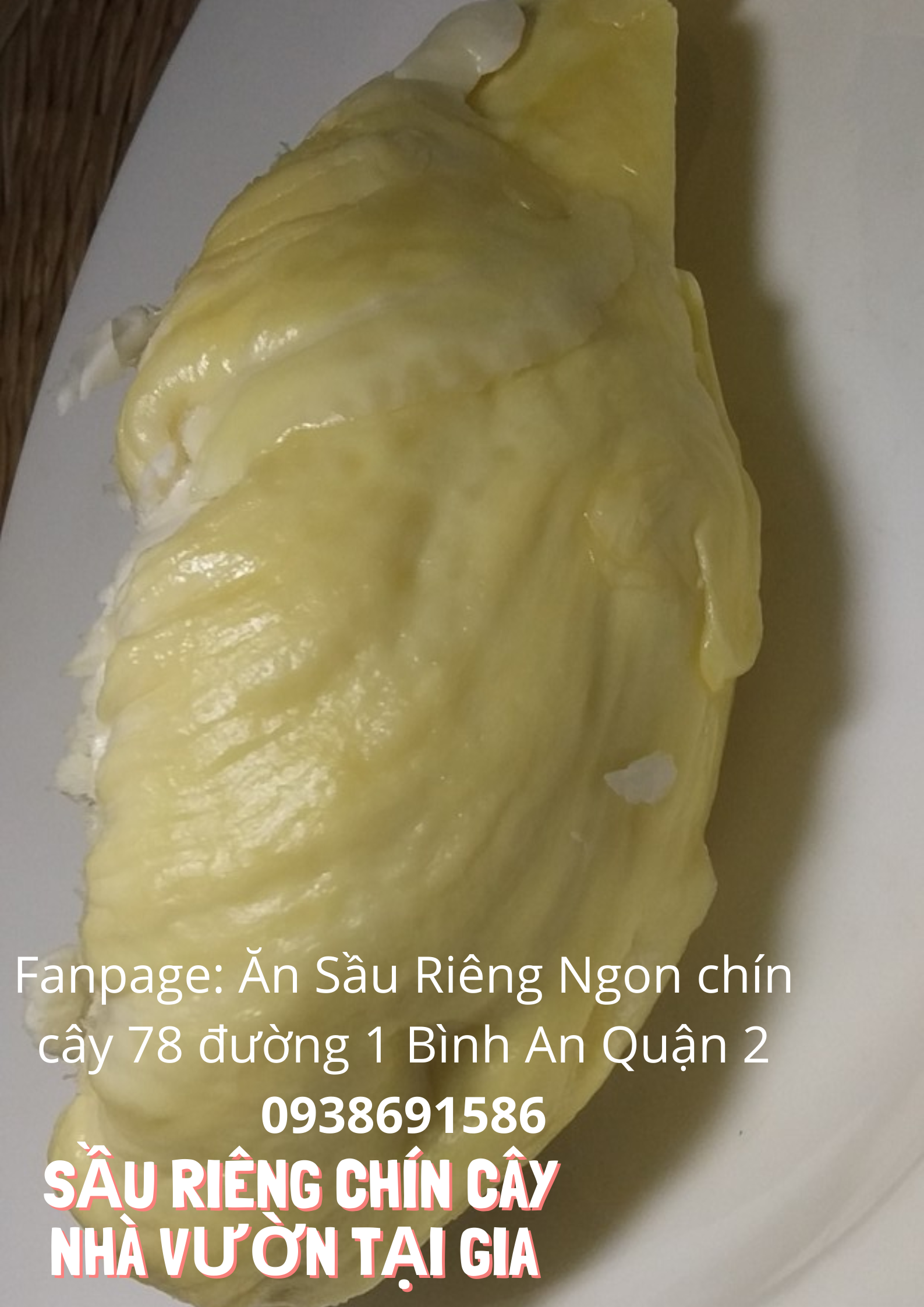 Sầu riêng óc khỉ (óc chó, Út Thủy)TPHCM rụng chín cây
