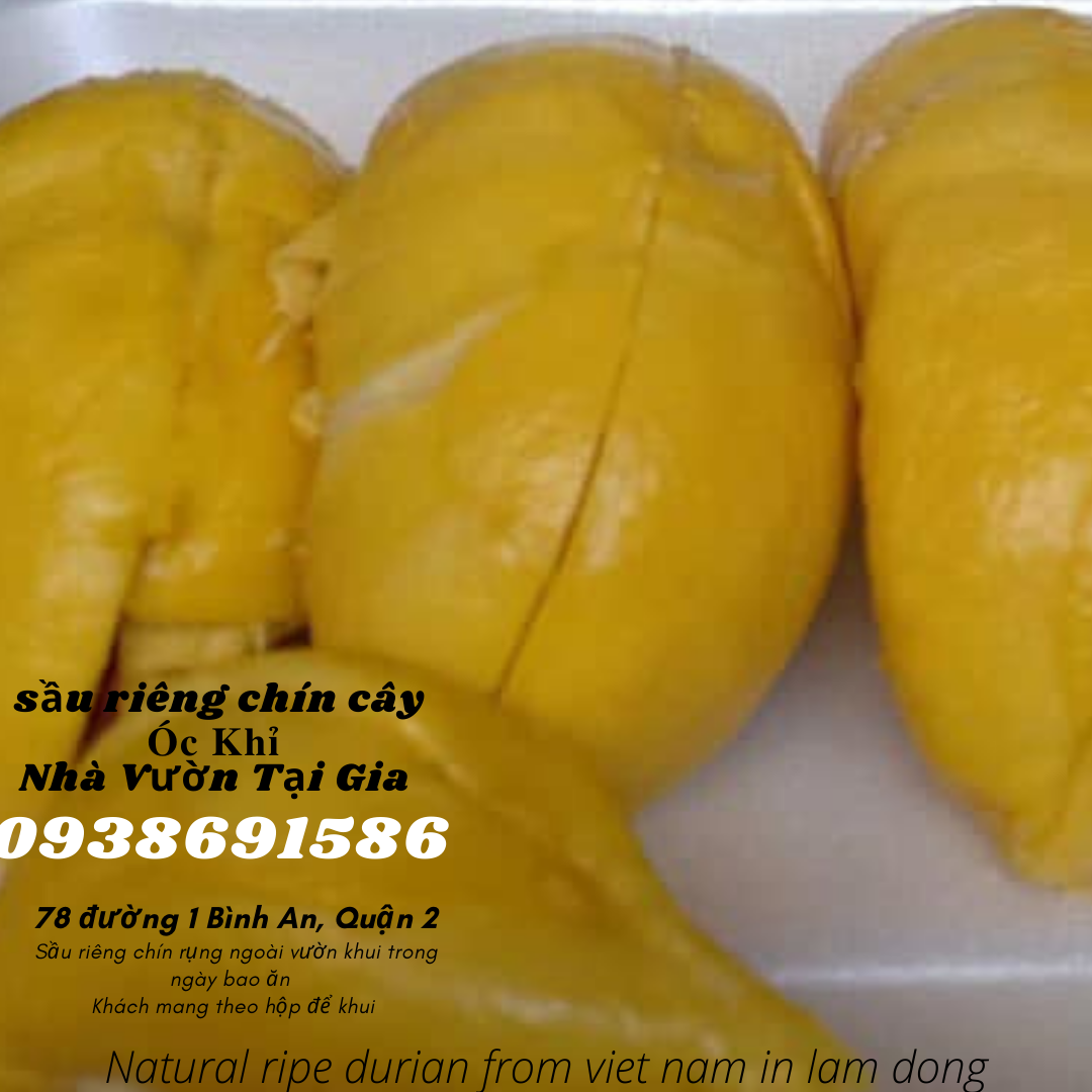 Sầu riêng óc khỉ Út Thủy Nhà Vườn Tại Gia 78 đường 1 Bình An, Quận 2, TP Thủ Đức