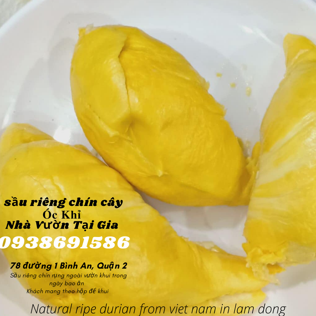 Sầu riêng óc khỉ (óc chó, Út Thủy)TPHCM rụng chín cây