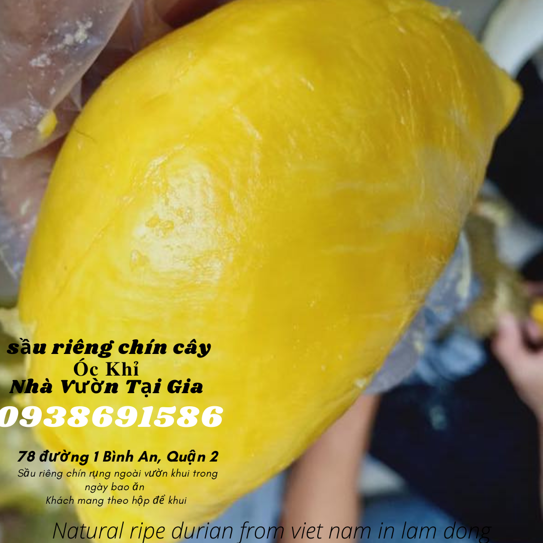 Sầu riêng óc khỉ Út Thủy Nhà Vườn Tại Gia 78 đường 1 Bình An, Quận 2, TP Thủ Đức
