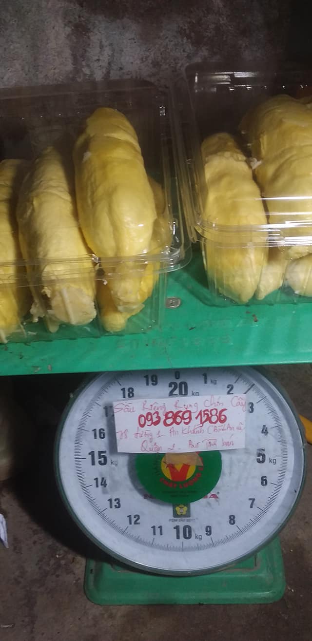 Sầu riêng Ri 6 chín cây mua sầu riêng Ri6 TPHCM