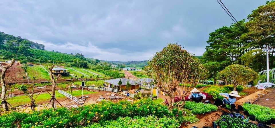 Lâm Đồng: hướng dẫn thực hiện chính sách hỗ trợ đối với người dân địa phương hiện đang sinh sống, học tập và làm việc tại các tỉnh, thành phố