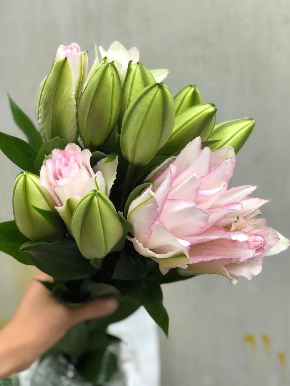 Hoa Đà Lạt hoa ly,dơn, hoa cúc đà lạt nhiều màu cẩm chướng,hồng, rum,nhật quỳnh, cúc, vàng anh giá sỉ