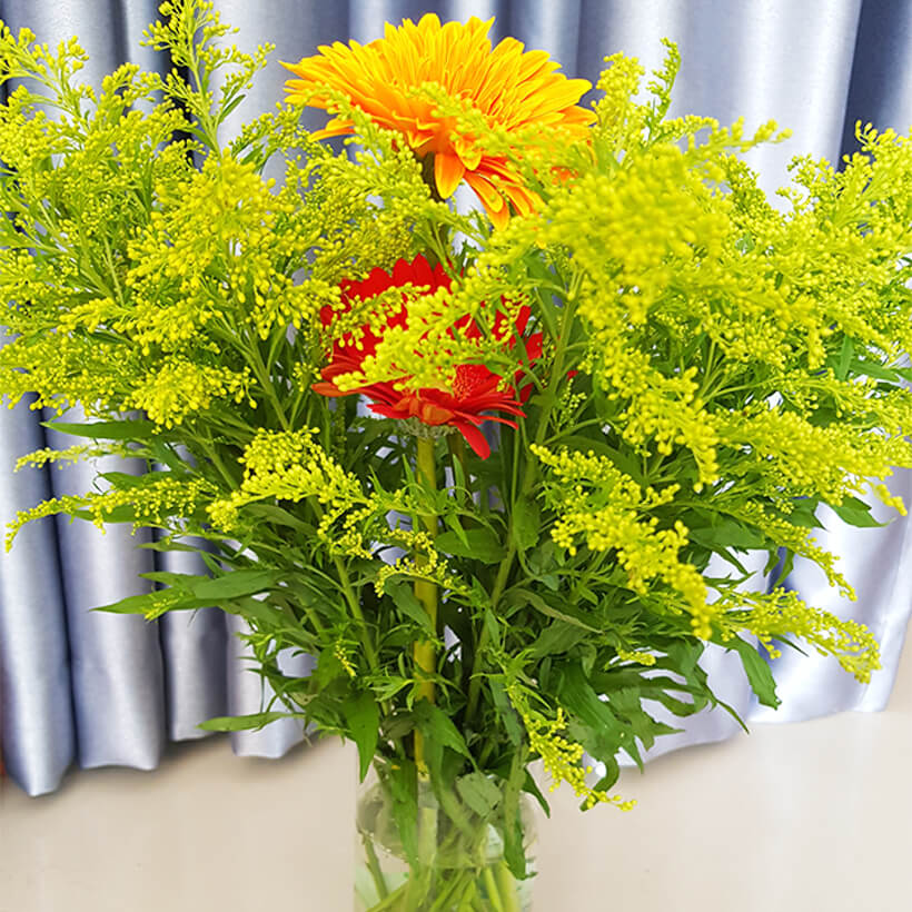 Hoa Đà Lạt hoa ly,dơn, hoa cúc đà lạt nhiều màu cẩm chướng,hồng, rum,nhật quỳnh, cúc, vàng anh giá sỉ