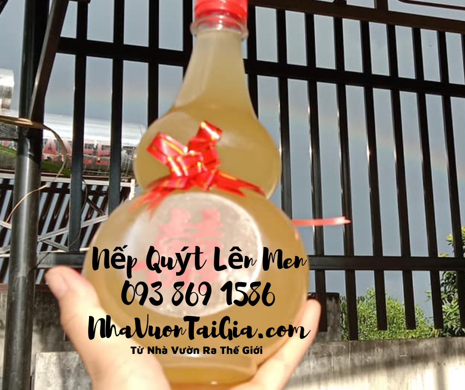 Nếp Quýt Đạ Tẻh Lâm Đồng lên men vắt không xay bã từ Nhà Vườn Ra Thế Giới