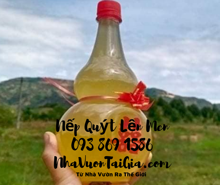 Nếp Quýt Đạ Tẻh Lâm Đồng lên men vắt không xay bã từ Nhà Vườn Ra Thế Giới