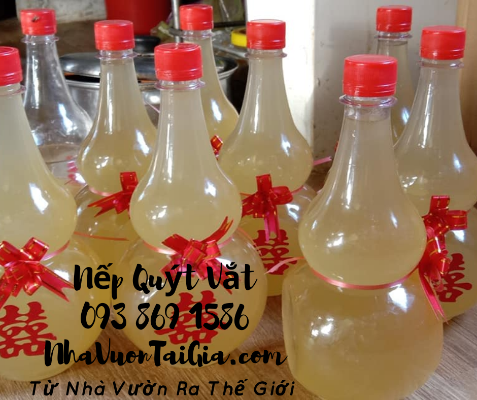Gạo nếp quýt Đạ Tẻh tiêu chuẩn GlobalGAP, VietGAP Quà tặng hữu cơ ai đến cũng khuân về