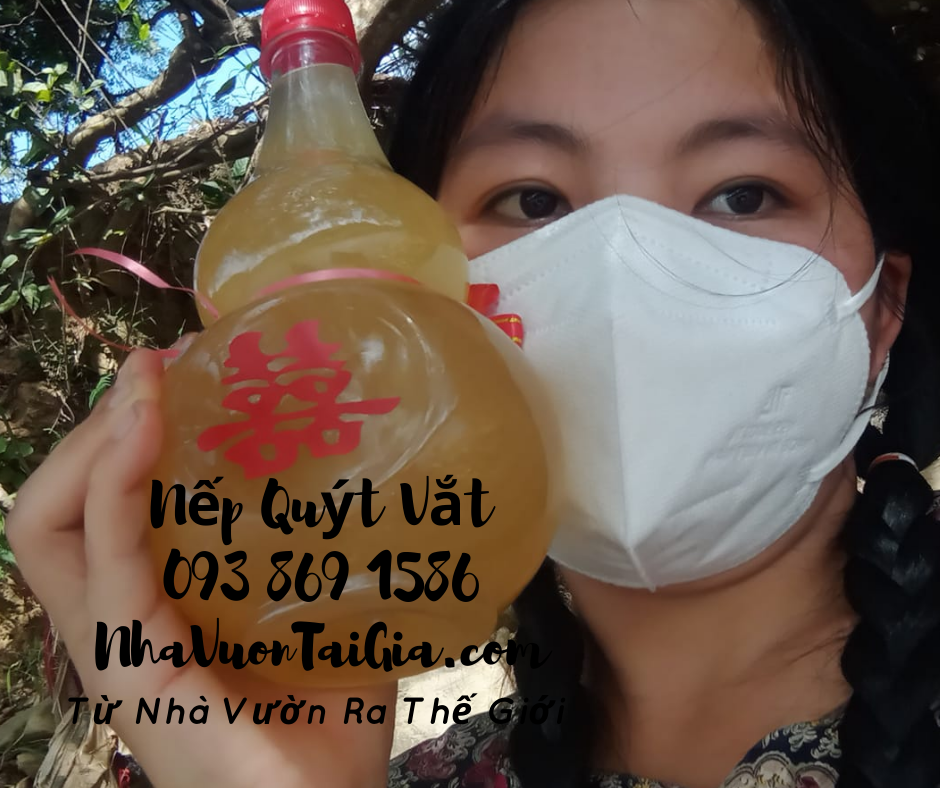 Gạo nếp quýt Đạ Tẻh tiêu chuẩn GlobalGAP, VietGAP Quà tặng hữu cơ ai đến cũng khuân về