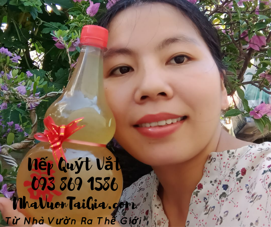 Gạo nếp quýt Đạ Tẻh tiêu chuẩn GlobalGAP, VietGAP Quà tặng hữu cơ ai đến cũng khuân về