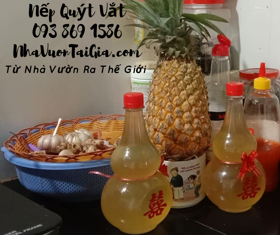 Nếp quýt vắt lên men quà tặng phụ nữ thanh xuân tỉnh thức