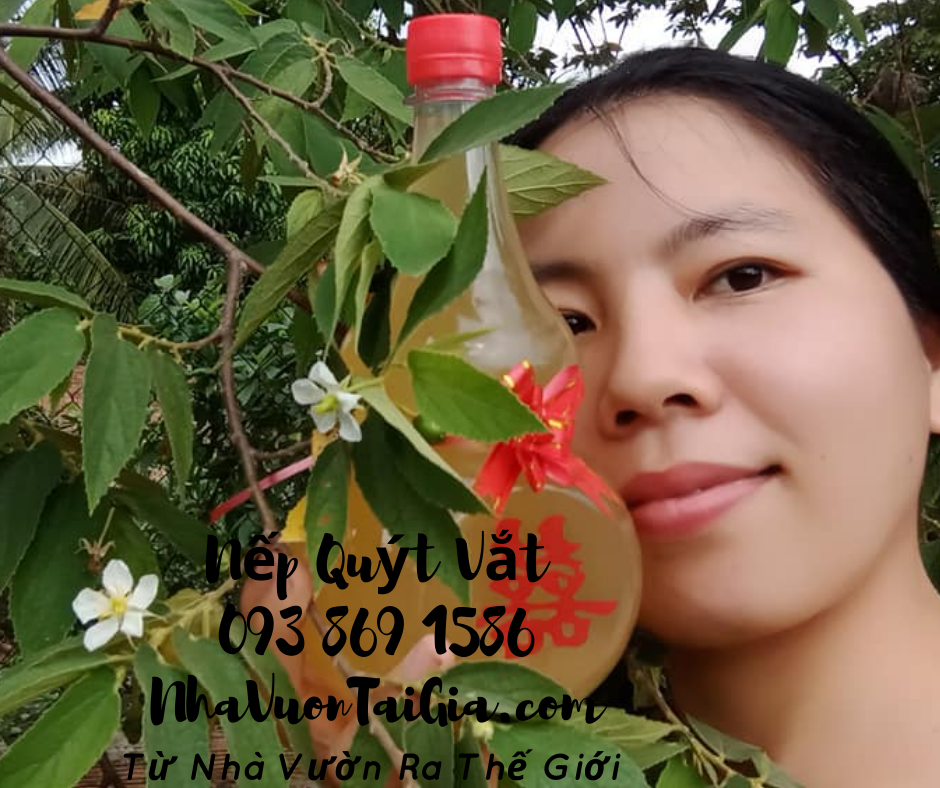 Nếp quýt vắt lên men quà tặng phụ nữ thanh xuân tỉnh thức