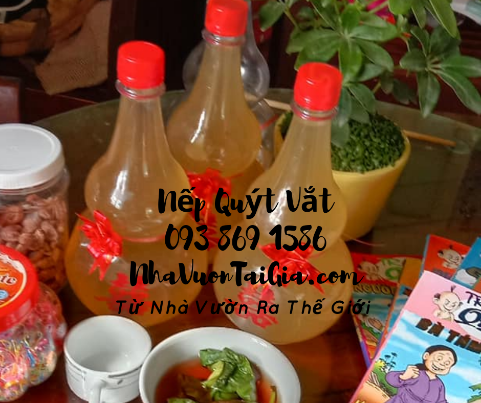 Nếp quýt vắt lên men quà tặng phụ nữ thanh xuân tỉnh thức